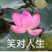 67e4f4c9_b088_4fd0_a96b_765aac10006a.png